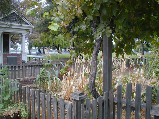 Antique Cars in San Jose History Park