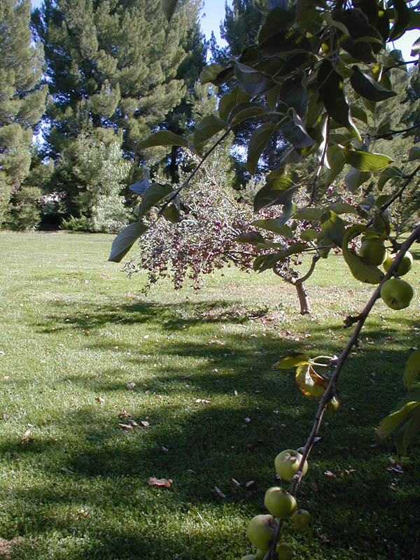 Livermore Tour, October 9, 2005