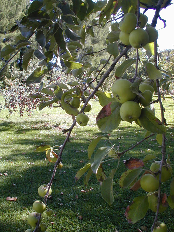 Livermore Tour, October 9, 2005